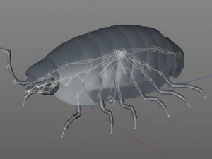 pill bug rigged low poly pbr insect 3D Model
