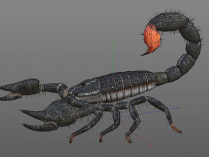 scorpion rigged low poly pbr insect Model 3D