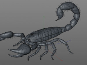 scorpion rigged low poly pbr insect Model 3D