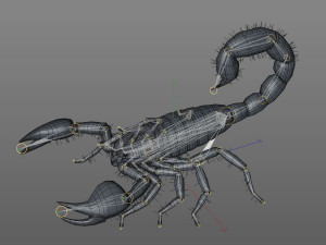 scorpion rigged low poly pbr insect Model 3D