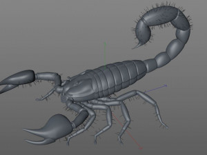 scorpion rigged low poly pbr insect Model 3D
