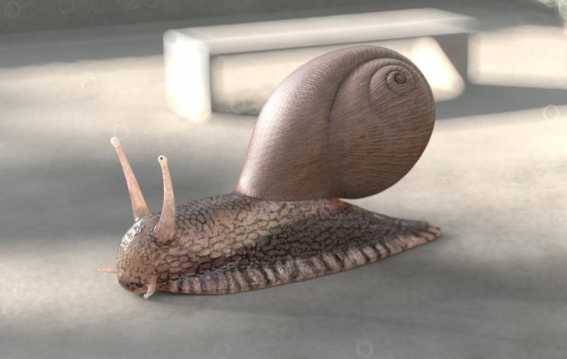 snail rigged low poly pbr insect 3D Model .c4d .max .obj .3ds .fbx .stl .blend 