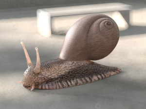 snail rigged low poly pbr insect 3D Model