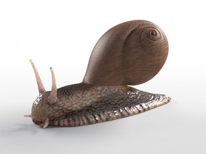 snail rigged low poly pbr insect 3D Model