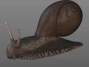 snail rigged low poly pbr insect 3D Model