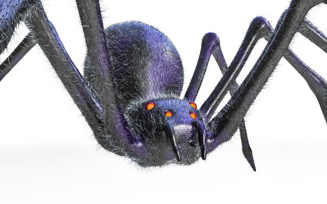 giant spider insect 3D Model .c4d .max .obj .3ds .fbx .stl .blend 