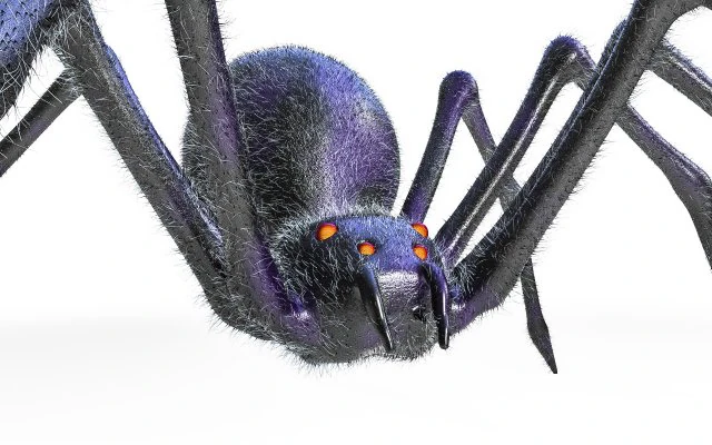giant spider insect 3D Model .c4d .max .obj .3ds .fbx .stl .blend 