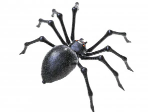 giant spider insect 3D Model