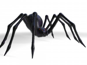giant spider insect 3D Model