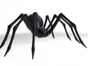 giant spider insect 3D Model