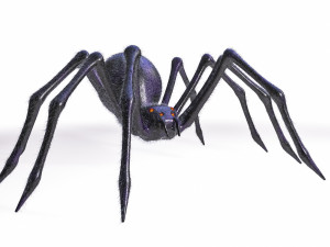 giant spider insect 3D Model