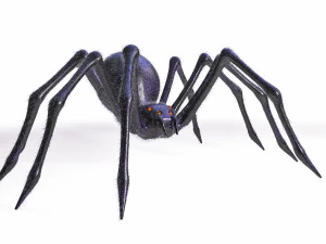 giant spider insect 3D Model
