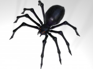 giant spider insect 3D Model