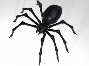 giant spider insect 3D Model