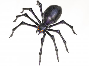 giant spider insect 3D Model