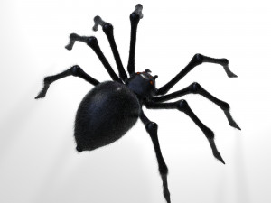 giant spider insect 3D Model