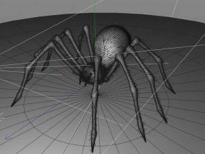 giant spider insect 3D Model
