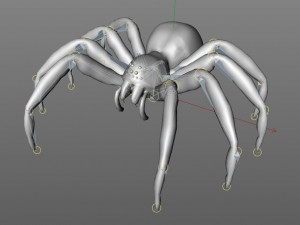 tarantula giant spider insect 3Dモデル