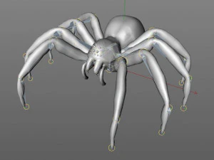 tarantula giant spider insect 3D Model