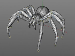 tarantula giant spider insect 3Dモデル