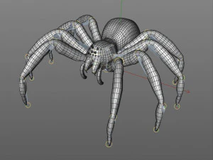 tarantula giant spider insect 3D Model