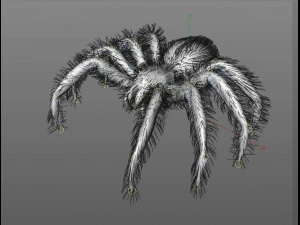 tarantula giant spider insect 3D Model