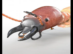 termite rigged hairs insect pbr low poly 3D Model