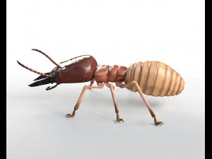termite rigged hairs insect pbr low poly 3D Model