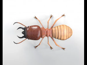 termite rigged hairs insect pbr low poly 3D Model
