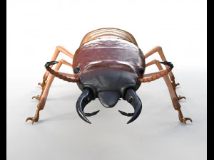 termite rigged hairs insect pbr low poly 3D Model