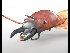 termite rigged hairs insect pbr low poly Model 3D