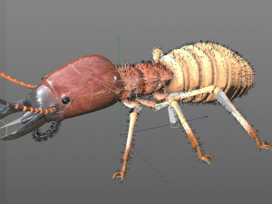 termite rigged hairs insect pbr low poly Model 3D