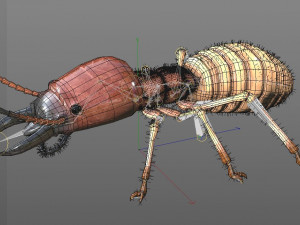 termite rigged hairs insect pbr low poly Model 3D