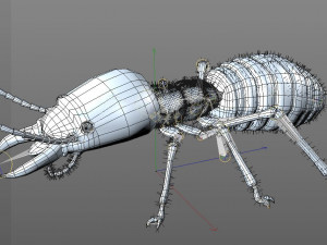 termite rigged hairs insect pbr low poly Model 3D