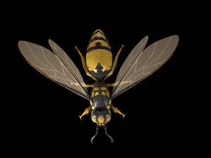 wasp hornet rigged hairs insect pbr low poly Modello 3D
