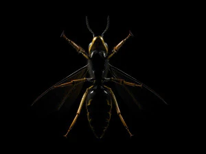 Wespe Hornisse manipulierte Haare Insekt PBR Low Poly 3D Modell