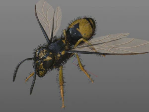 Wespe Hornisse manipulierte Haare Insekt PBR Low Poly 3D Modell