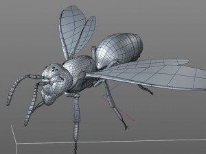 wasp hornet rigged hairs insect pbr low poly Modello 3D