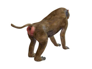 binatang yang dicurangi monyet babon Model 3D