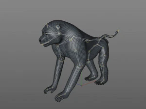 binatang yang dicurangi monyet babon Model 3D