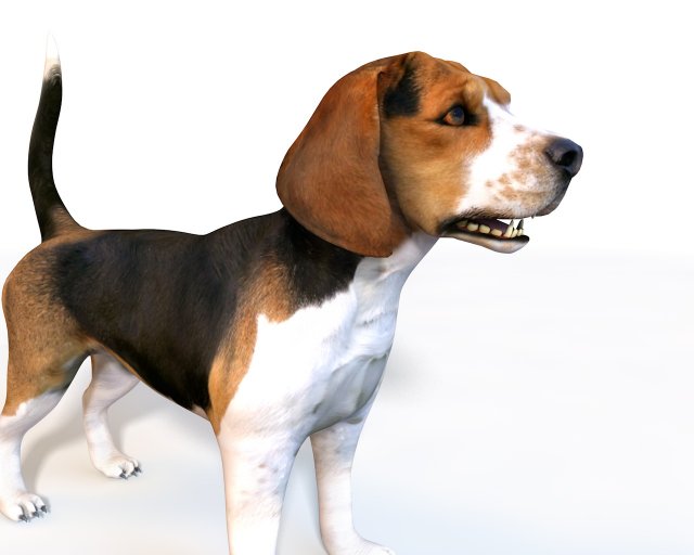 beagle dog rigged animal Model 3D .c4d .max .obj .3ds .fbx .stl .blend 