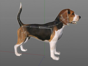 beagle dog rigged animal Model 3D