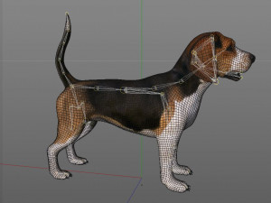 beagle dog rigged animal Model 3D
