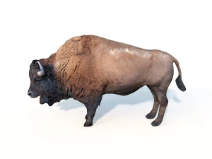 bizonstier opgetuigd dier 3D Model