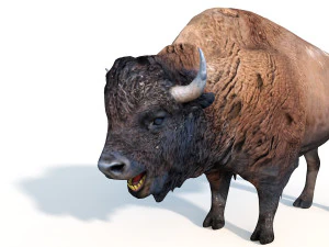 bizonstier opgetuigd dier 3D Model