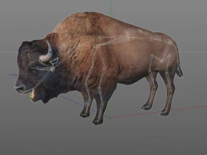 bizonstier opgetuigd dier 3D Model