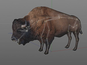 bison bull rigged animal 3D Model
