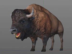 bizonstier opgetuigd dier 3D Model