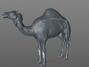 camel rigged animal 3D-Modell