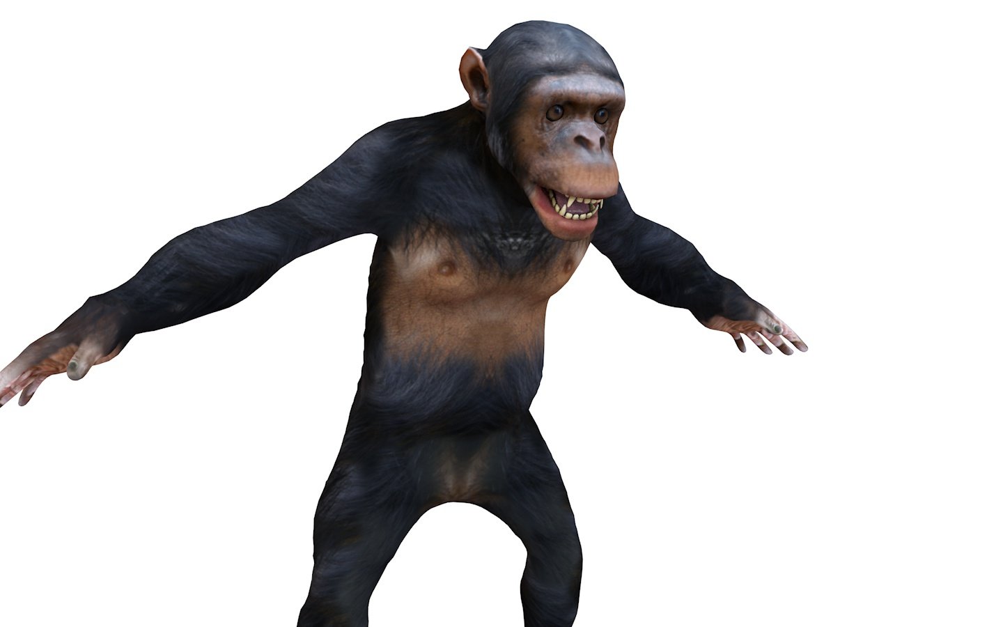 Macaco chimpanzé com pele Modelo 3D $79 - .3ds .fbx .max .obj - Free3D